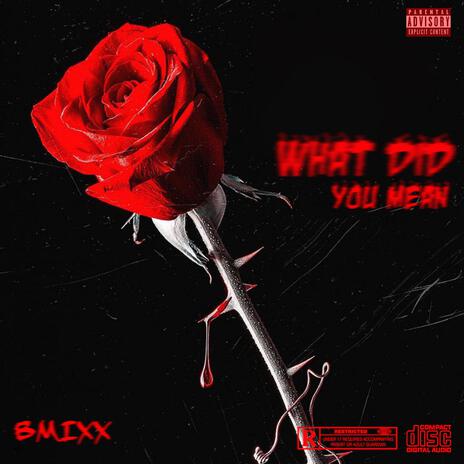 What Did You Mean | Boomplay Music