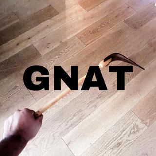 GNAT lyrics | Boomplay Music