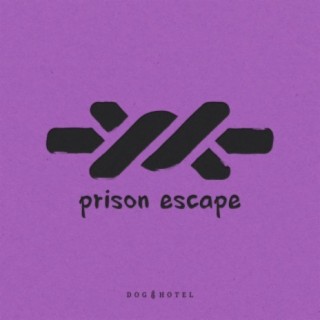 Prison Escape