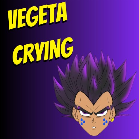 VEGETA CRYING