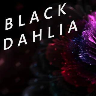 Black Dhalia