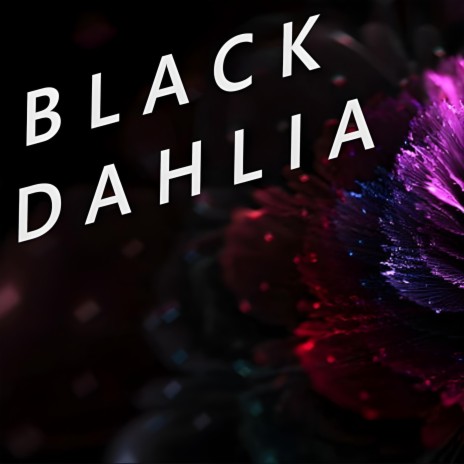 Black Dhalia | Boomplay Music