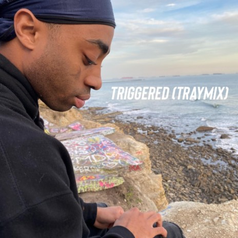 triggered traymix | Boomplay Music