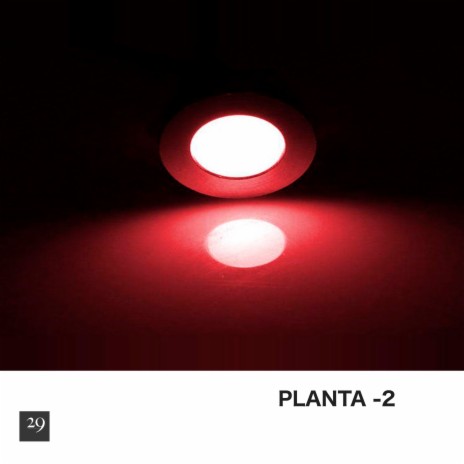 Planta -2