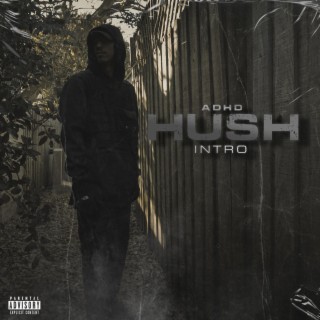 Hush (Intro) lyrics | Boomplay Music