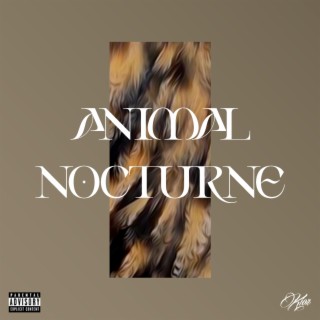 Animal Nocturne lyrics | Boomplay Music