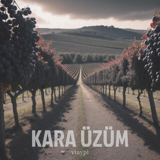 kara üzüm