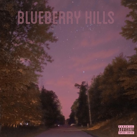 Blueberry Hills | Boomplay Music