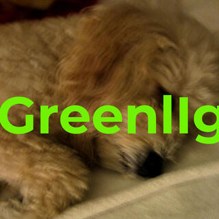 Greenlight