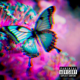 butterfly effect