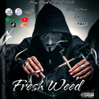 FRESH WEED