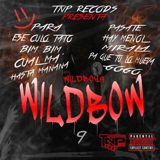 wildbow