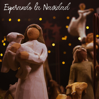 Esperando la Navidad