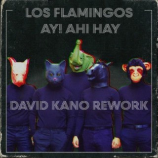 Ay! Ahí Hay (David Kano Rework)