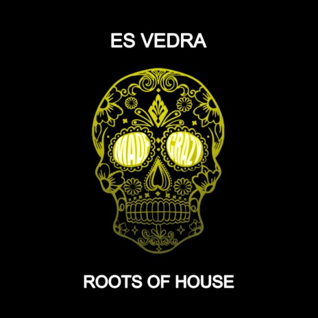 Roots Of House (Radio Edit) | Boomplay Music