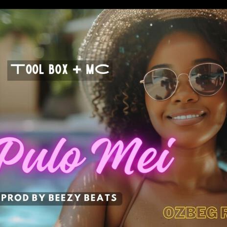 Pulo Mei ft. Toolbox ft MC | Boomplay Music