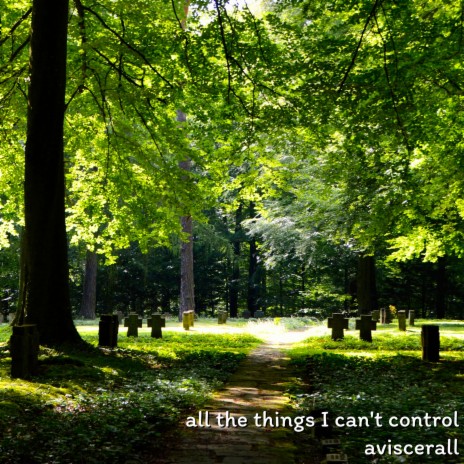 all the things I can't control | Boomplay Music