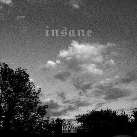 Insane | Boomplay Music