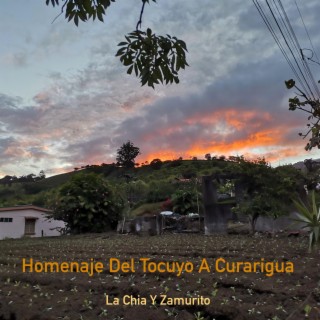 Homenaje Del Tocuyo a Curarigua