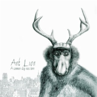 Ant Lion