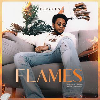 Flames lyrics | Boomplay Music