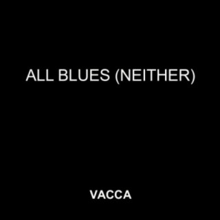 Vicens Vacca