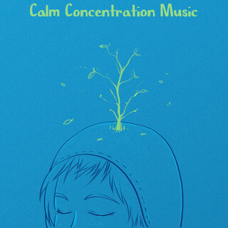 Calm Concentration Music