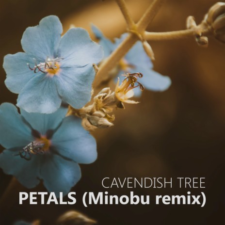 Petals (Minobu Remix) | Boomplay Music