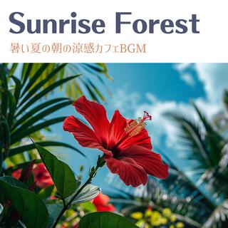 暑い夏の朝の涼感カフェbgm