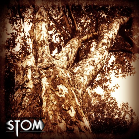 All Trees Grows Stronger | Boomplay Music