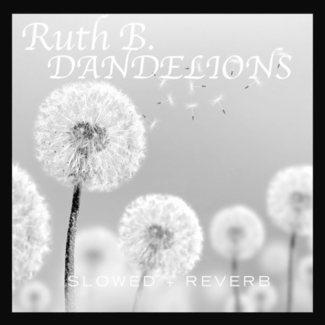 Ruth B. - Dandelions (Lyrics) 