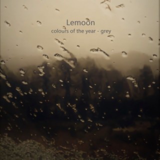 colours of the year (grey)