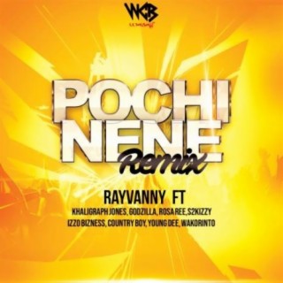 Pochi Nene Remix