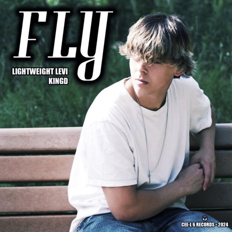 Fly ft. Lightweight Levi | Boomplay Music