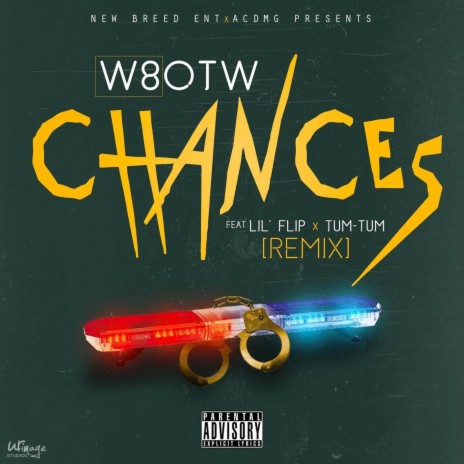 Chances (Remix) [Radio Edit] ft. Lil Flip & Tum Tum