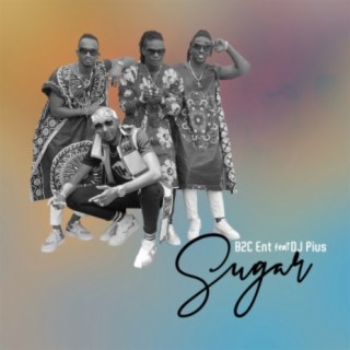 Sugar ft. DJ Pius lyrics | Boomplay Music
