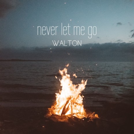 Never Let Me Go | Boomplay Music