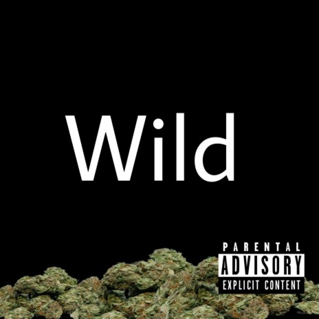 Wild | Boomplay Music