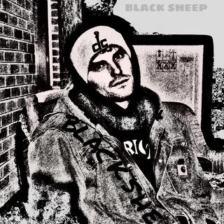 BLACK SHEEP