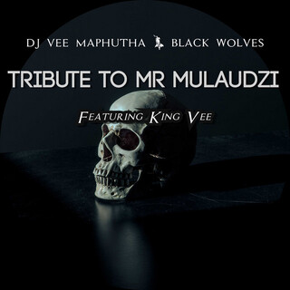 Tribute to Mr Mulaudzi