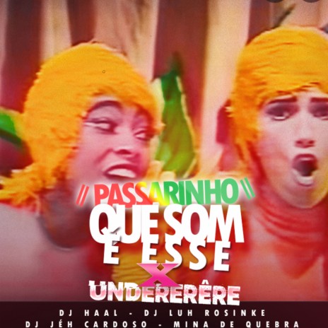 PASSARINHO QUE SOM É ESSE X UNDERÊRE ft. Dj Luh Rosinke, Dj Jéh Cardoso & Mina de Quebra