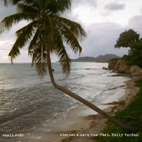 vieques & dark rum ft. Kelly Vargas | Boomplay Music