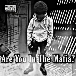 Are You In The Mafia