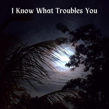 I Know What Troubles You | Boomplay Music