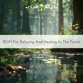 BGM For Relaxing And Healing In The Forest