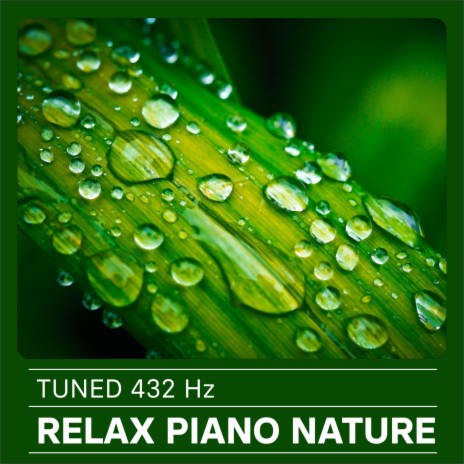 Relax Piano Nature | Boomplay Music