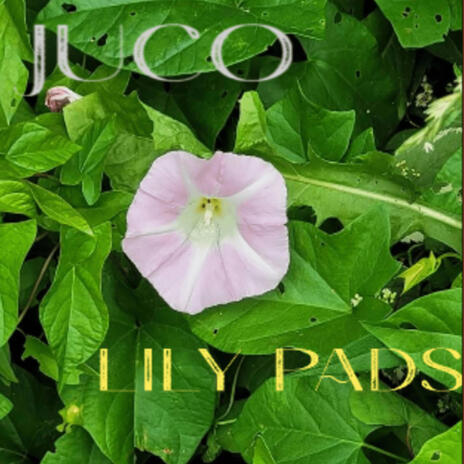 Lily Pads