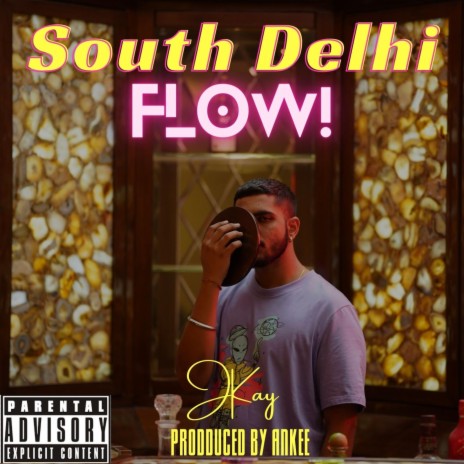 South Delhi Flow | Boomplay Music