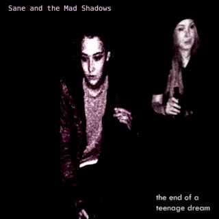 Sane and the Mad Shadows