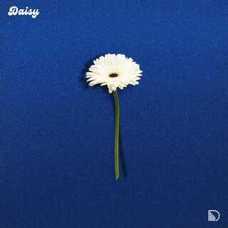 Daisy lyrics | Boomplay Music